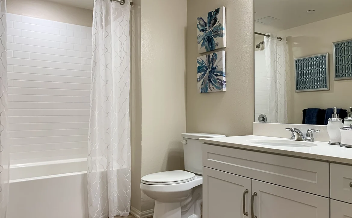 1 bedroom apartment interior at C+C Flats in Chula Vista, CA — spacious living area with modern finishes