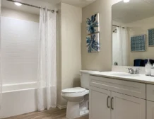 1 bedroom apartment interior at C+C Flats in Chula Vista, CA — spacious living area with modern finishes