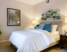 1 bedroom apartment interior at C+C Flats in Chula Vista, CA — spacious living area with modern finishes